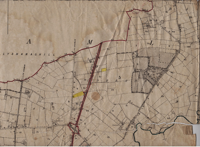 The 1877 estate map of Sir Richard Wallace showing part of Gobrana and Ballydonaghy